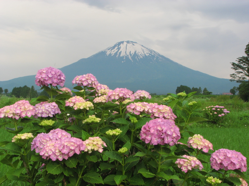 富士山画像記録