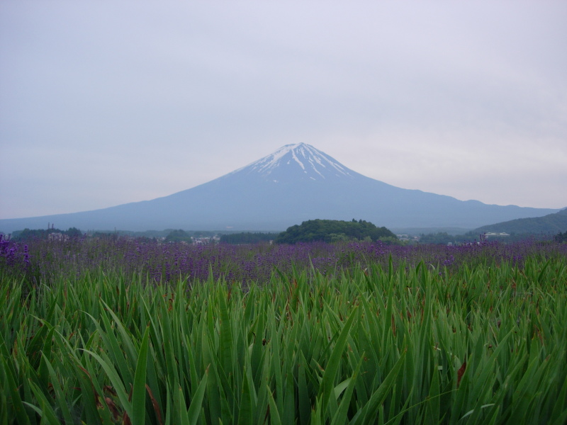 富士山画像記録