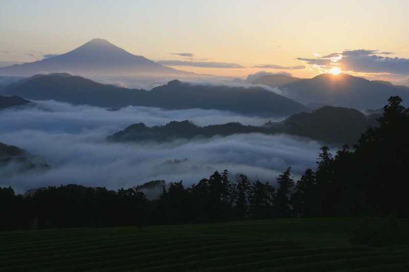 富士山画像作品