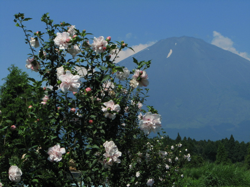 富士山画像記録