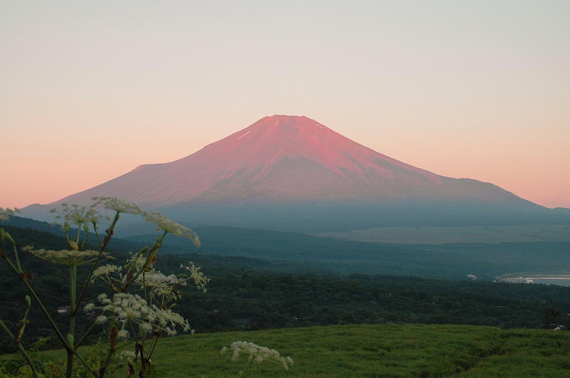 富士山画像記録