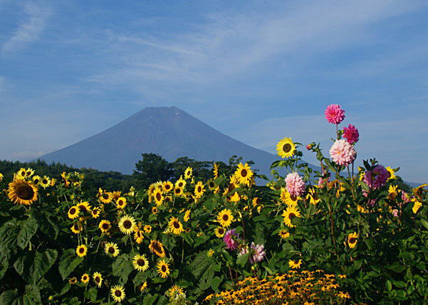 富士山画像作品