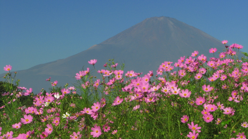 富士山画像記録