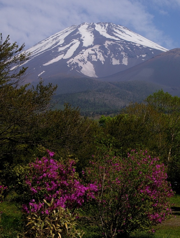 富士山画像作品