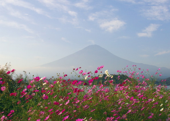 富士山画像作品