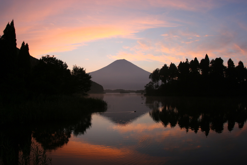 富士山画像作品