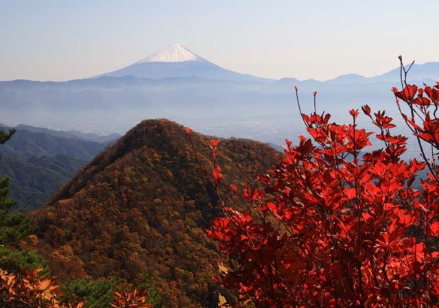 富士山画像記録