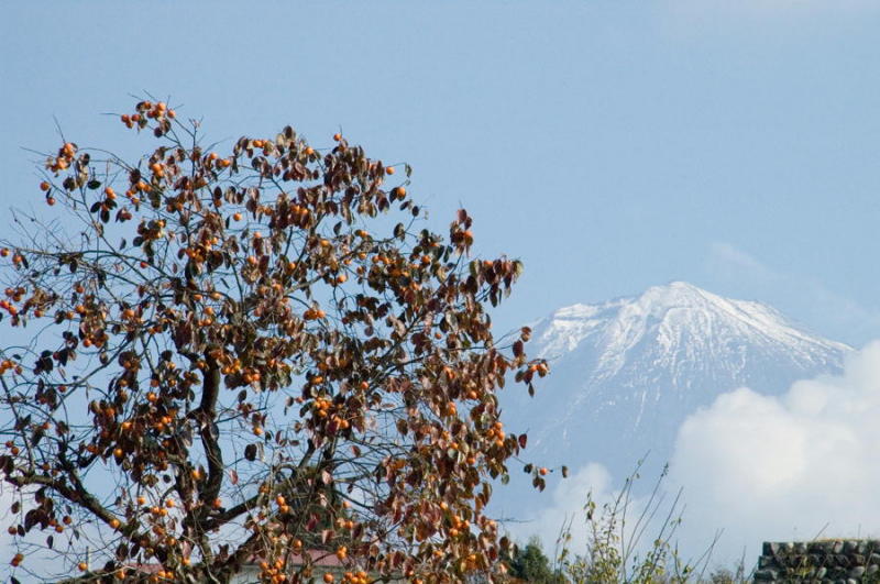 富士山画像記録