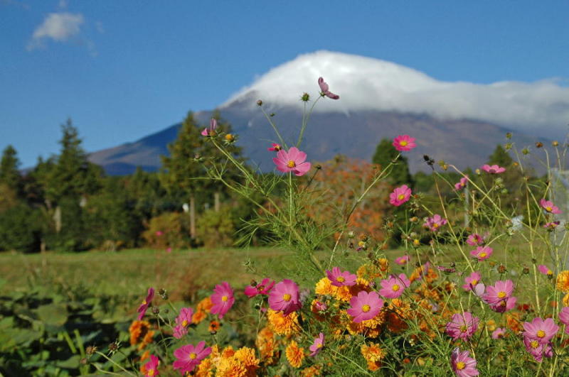 富士山画像記録