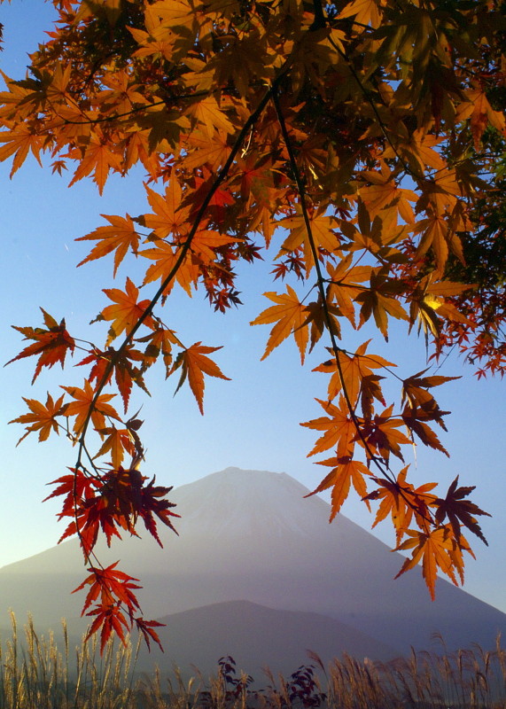 富士山画像作品