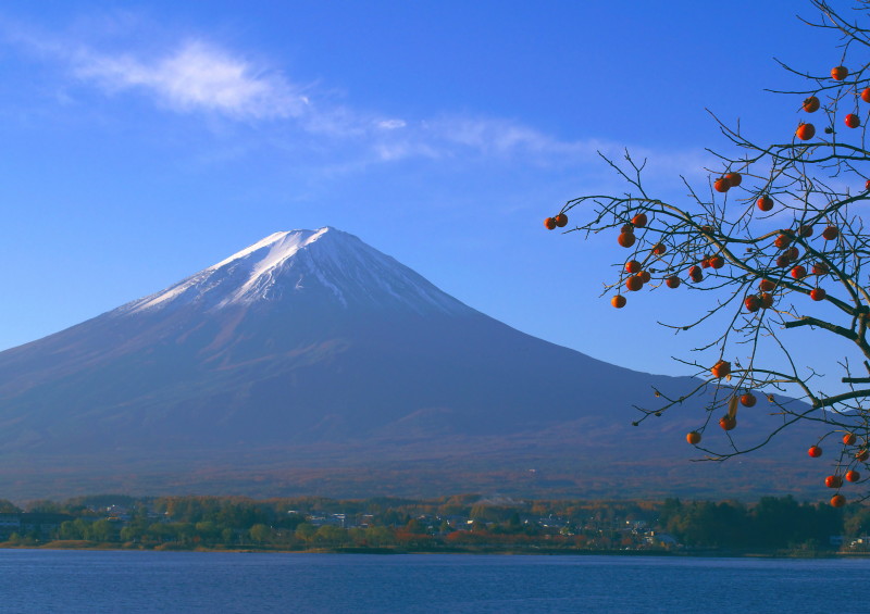 富士山画像作品