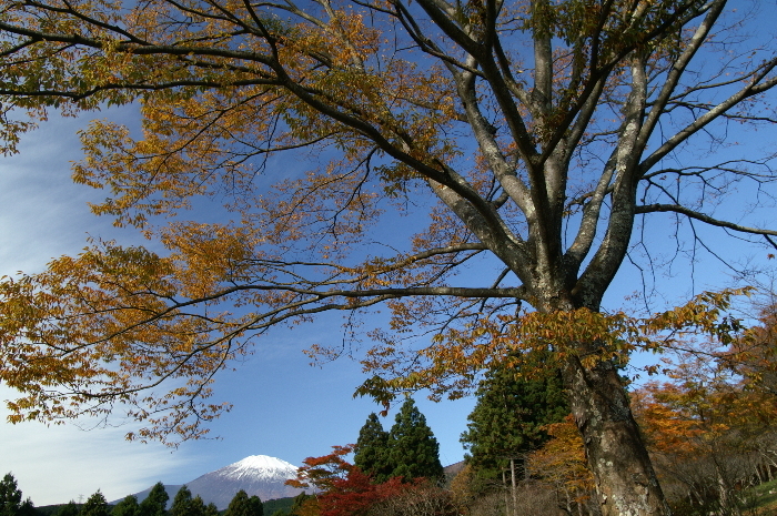 富士山画像作品