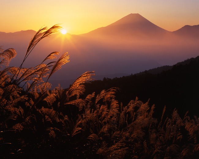 富士山画像作品