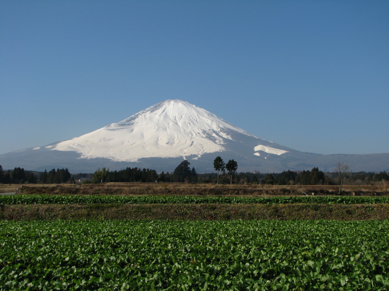 富士山画像記録