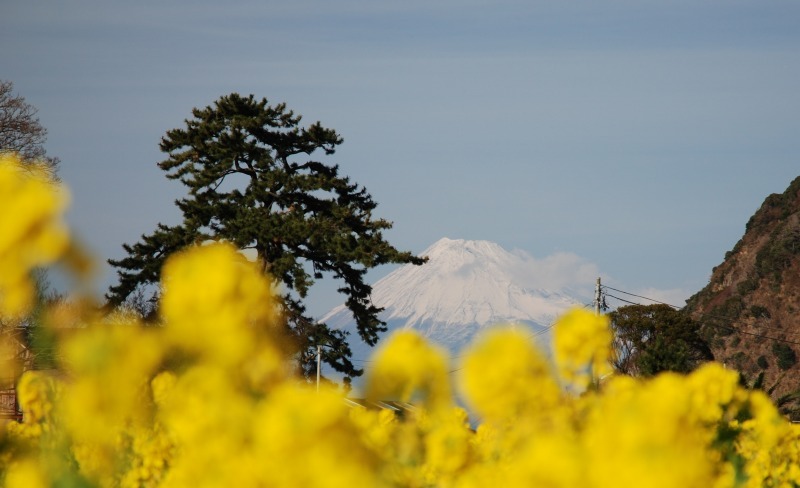 富士山画像作品