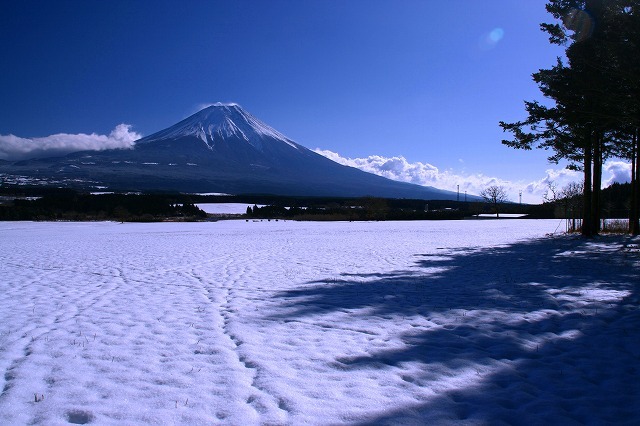 富士山画像作品