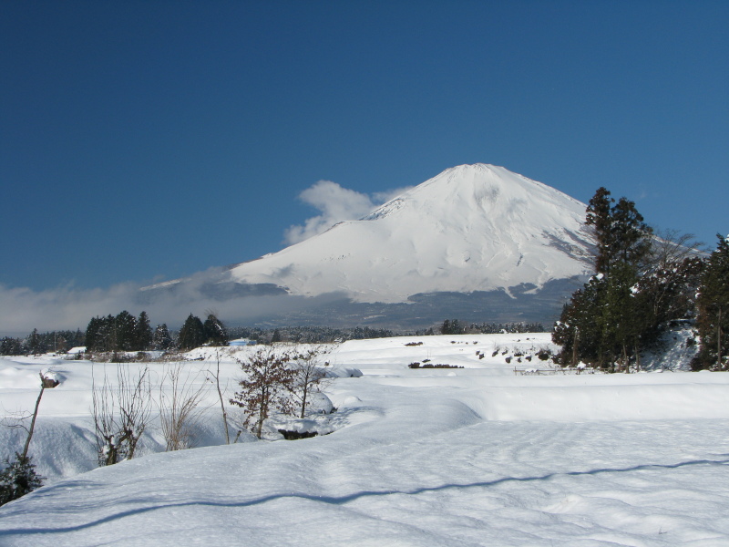 富士山画像記録