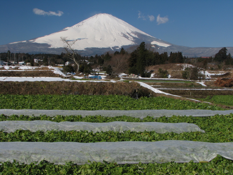 富士山画像記録