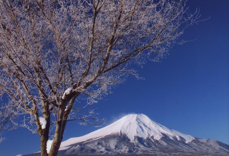 富士山画像作品