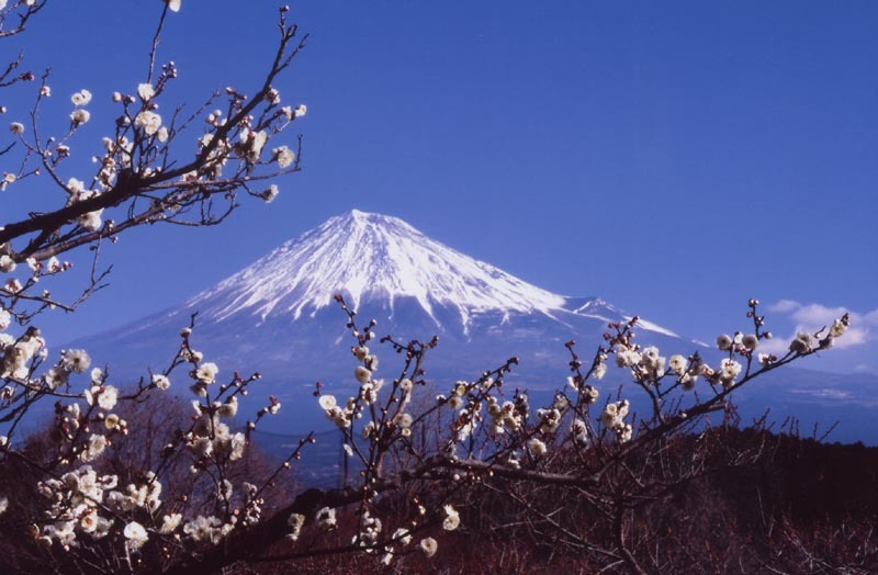 富士山画像作品