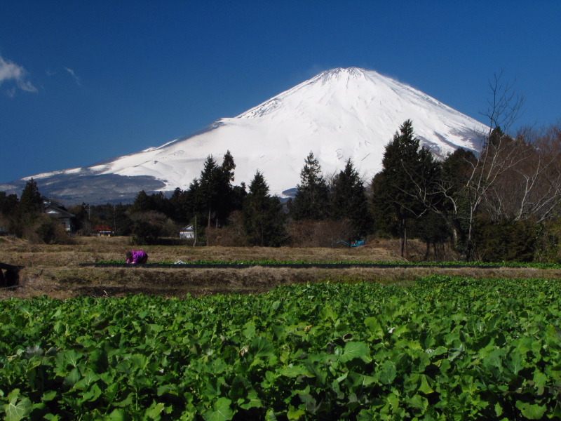 富士山画像記録