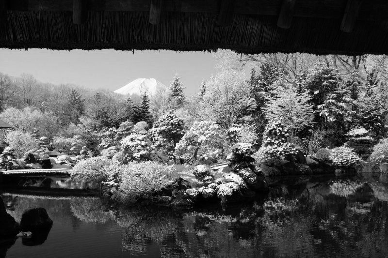 富士山画像記録