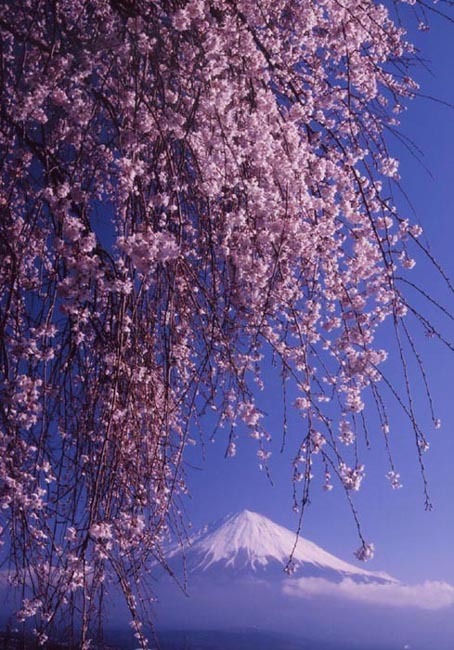 富士山画像記録