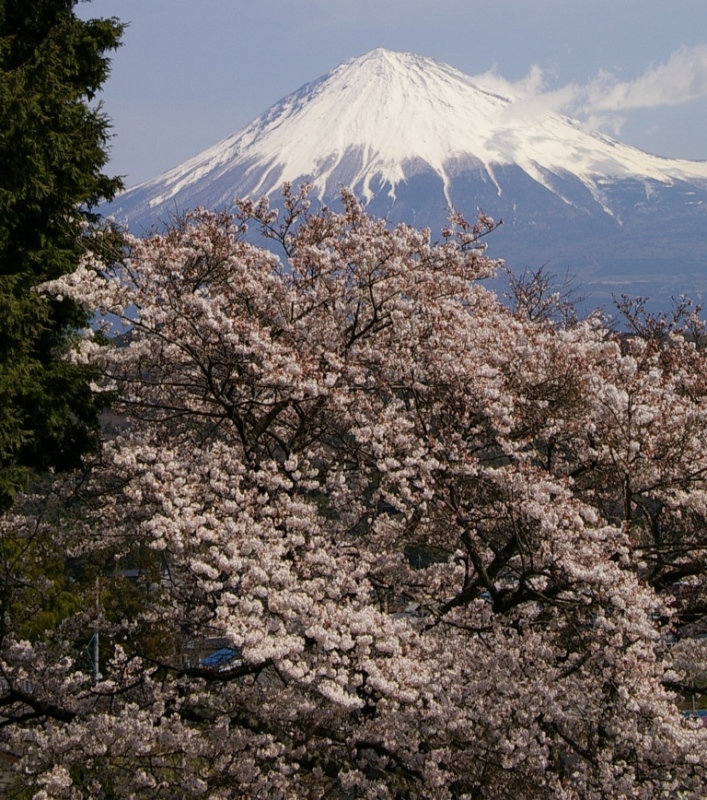 富士山画像作品