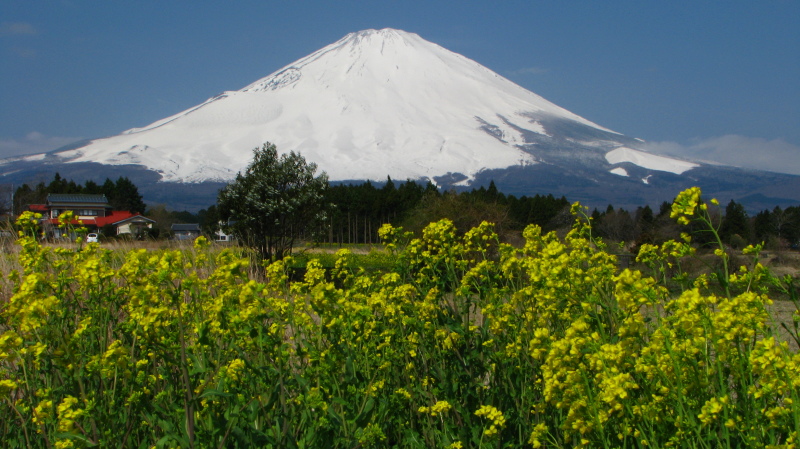 富士山画像記録