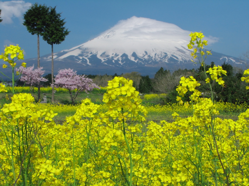 富士山画像記録