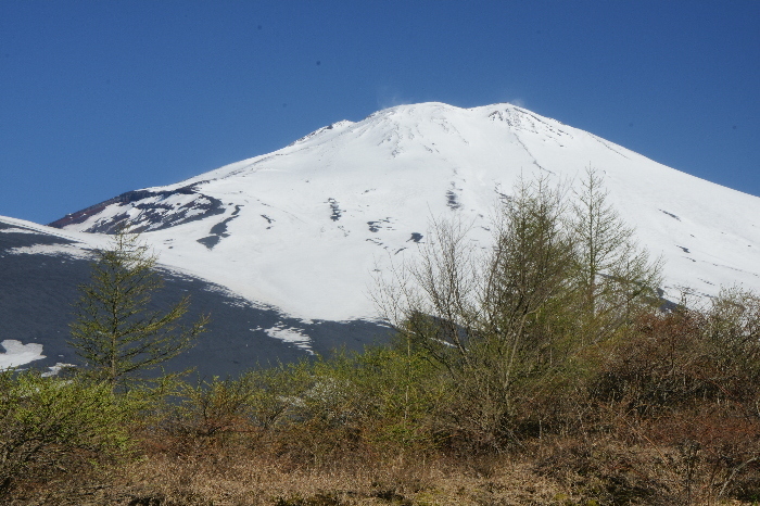 富士山画像記録