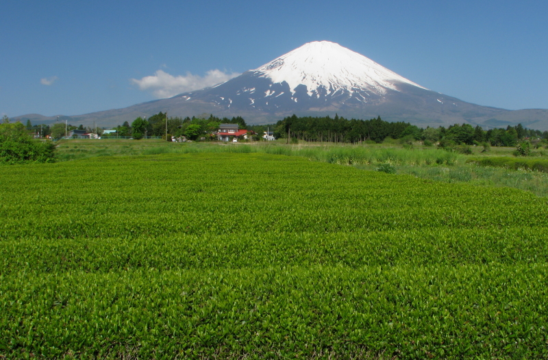 富士山画像記録