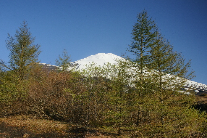 富士山画像作品