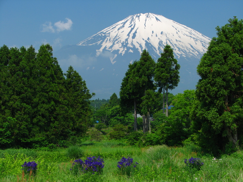 富士山画像記録