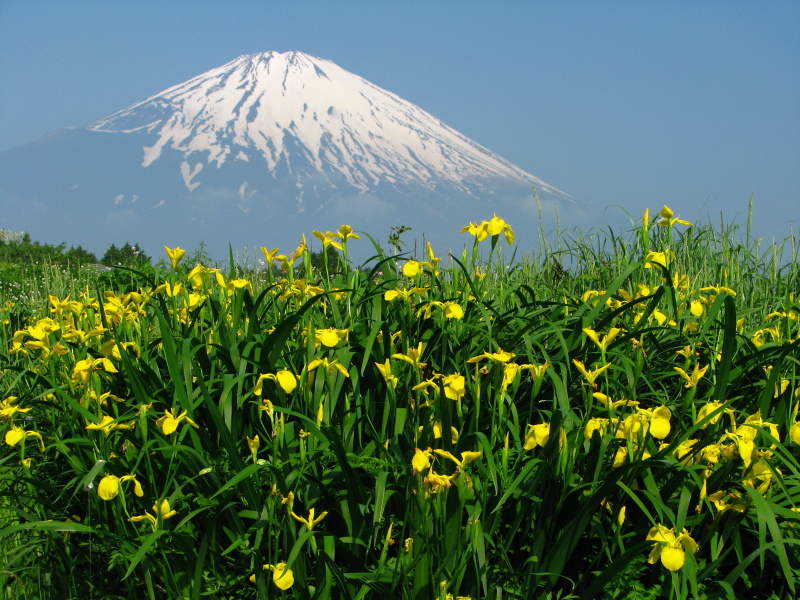 富士山画像記録