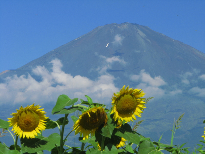 富士山画像記録