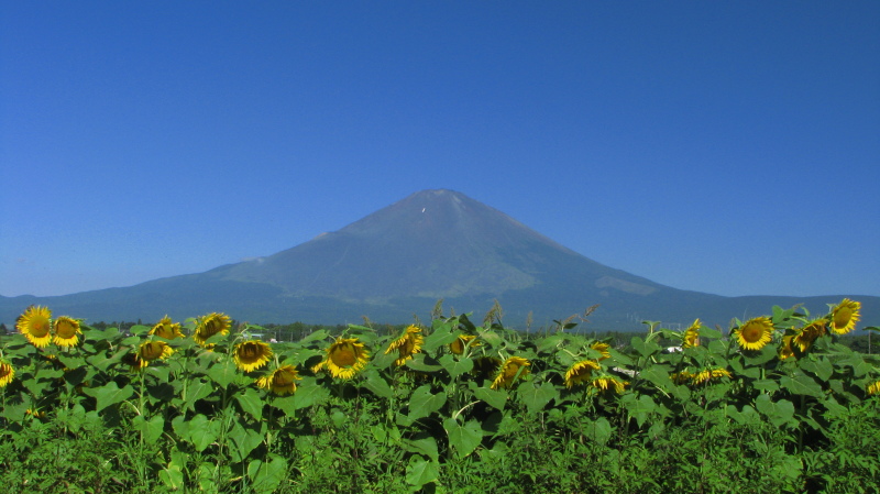 富士山画像記録