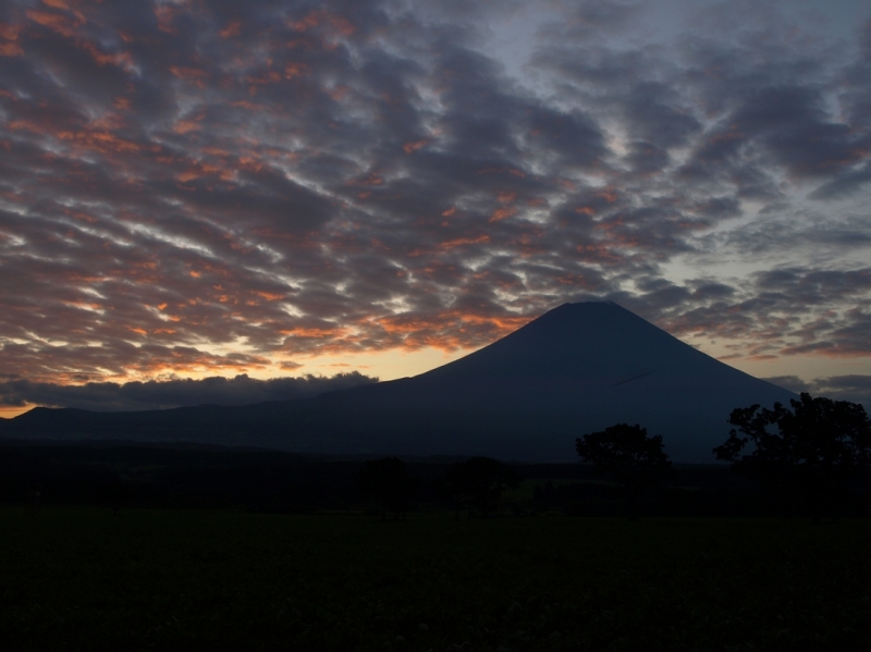 富士山画像記録