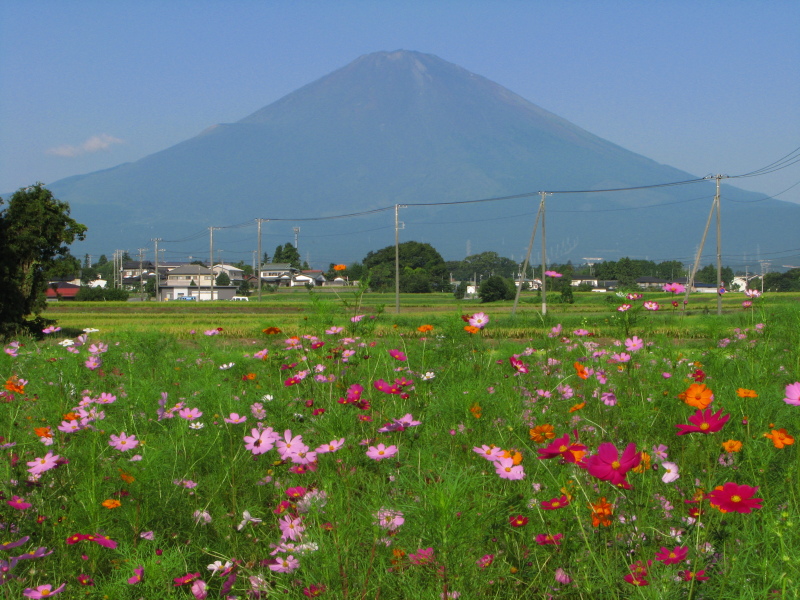 富士山画像記録