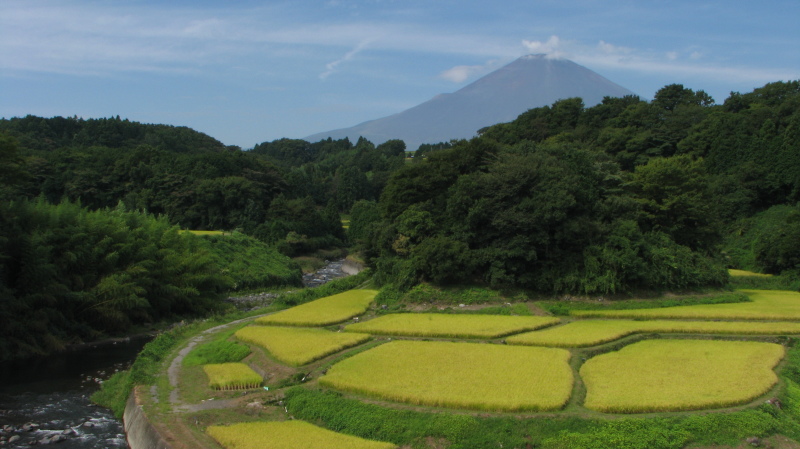 富士山画像記録