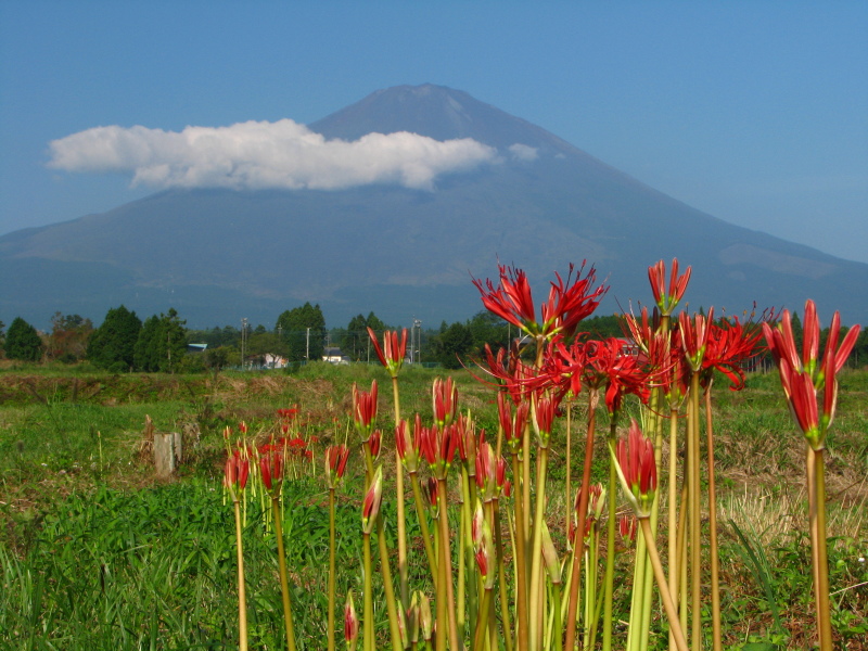 富士山画像記録