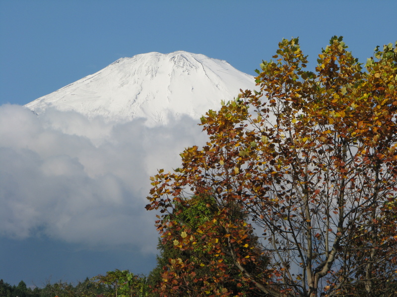 富士山画像記録