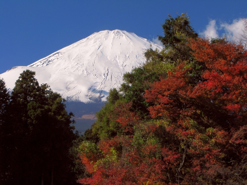 富士山画像記録