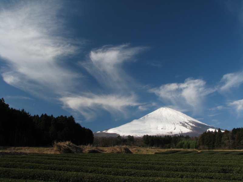 富士山画像記録