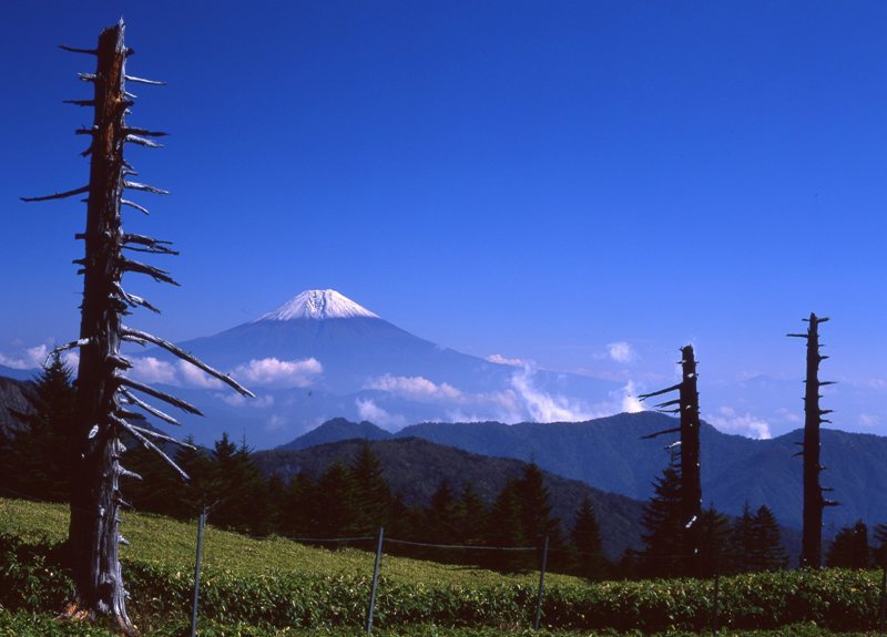 富士山画像記録