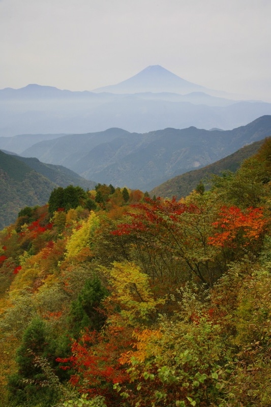 富士山画像作品