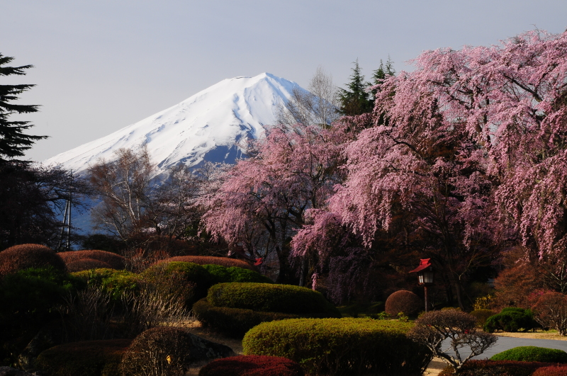 富士山周辺風景