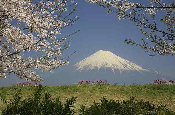 富士山画像作品