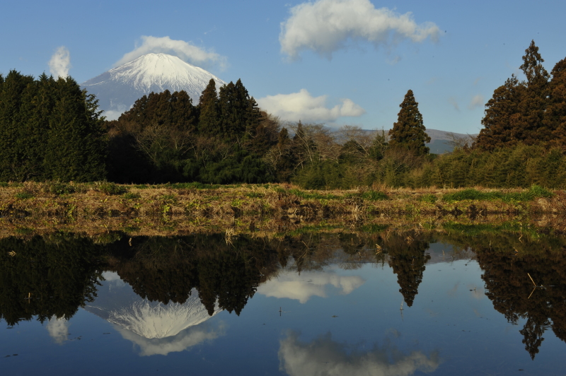 富士山画像作品