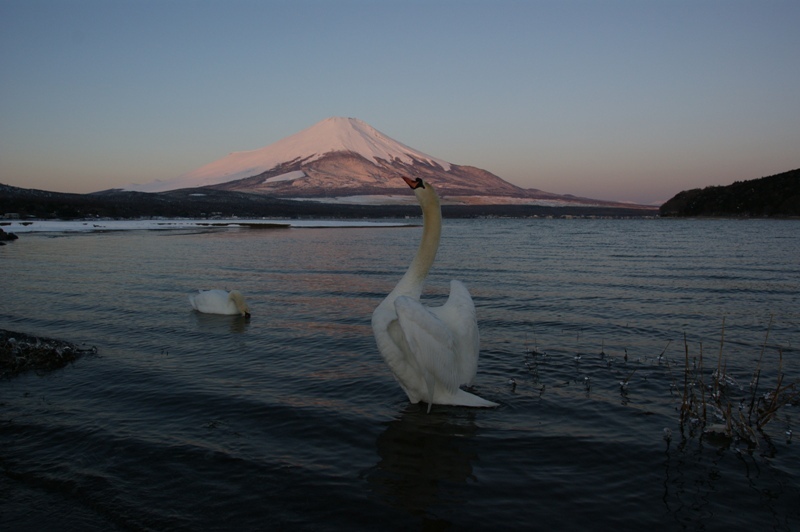 富士山画像記録